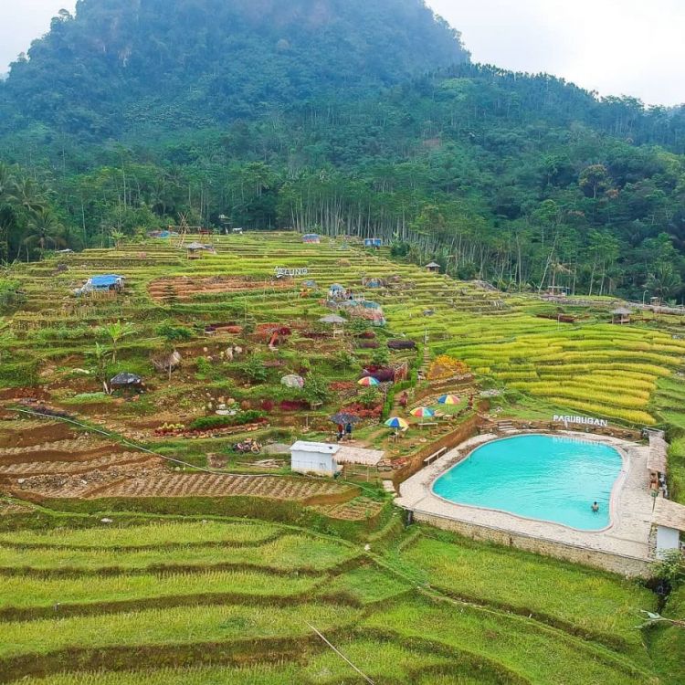Desa Melung